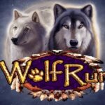 wolf-run-slot-machine-free-no-download